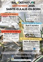 Capture d’écran (206).png